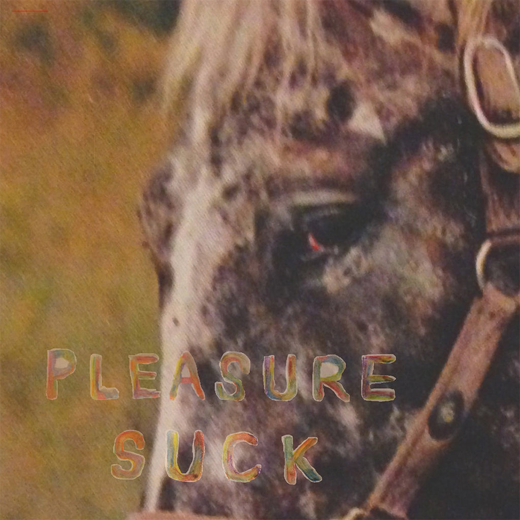 Spirit Of The Beehive: Pleasure Suck (Coloured Vinyl LP)
