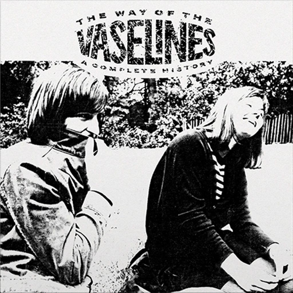 Vaselines, The: The Way Of The Vaselines - A Complete History (Vinyl 2xLP)