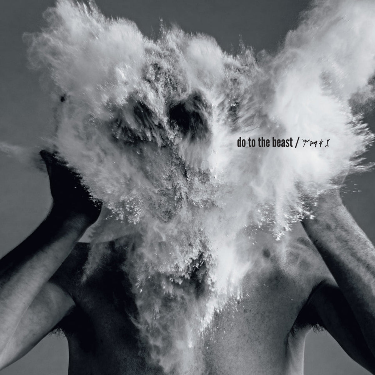 Afghan Whigs, The: Do To The Beast