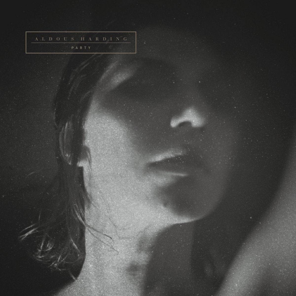 Harding, Aldous: Party (Vinyl LP)