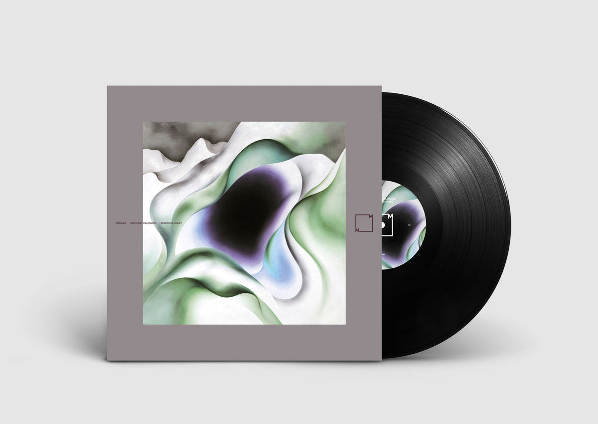Calonico, Anthony: Spacious Heart (Vinyl LP)