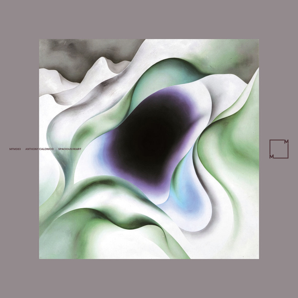 Calonico, Anthony: Spacious Heart (Vinyl LP)