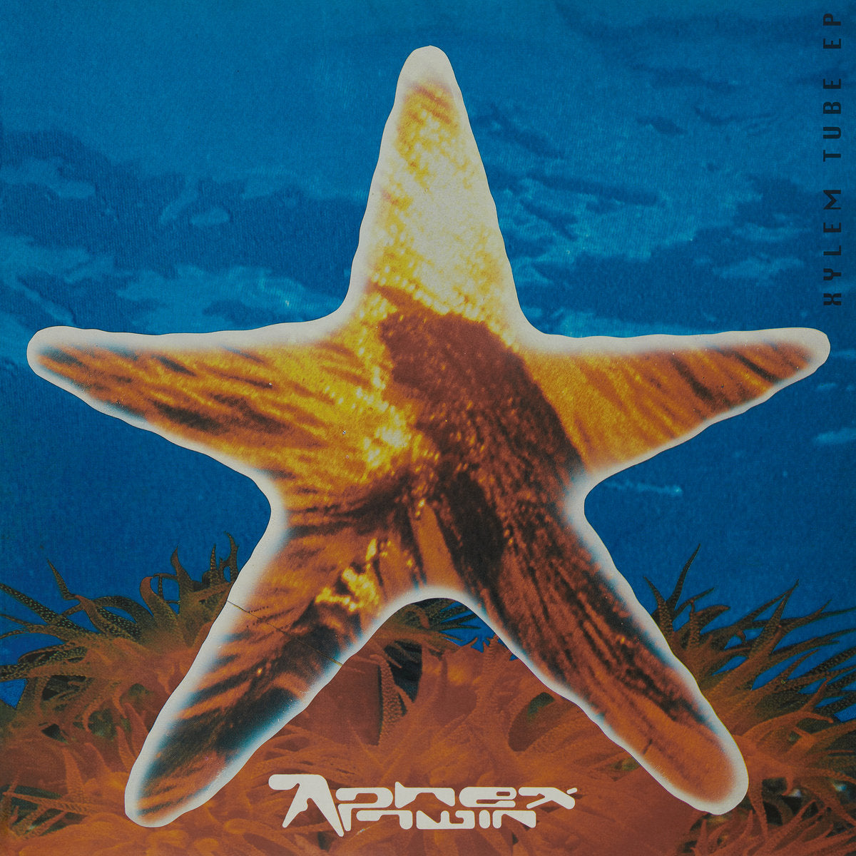 Aphex Twin: Xylem Tube (Vinyl EP)