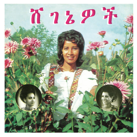 Ashine, Aselefech And Getenesh Kebret With Army Band: ሸገኔዎች = Beauties (Vinyl LP)