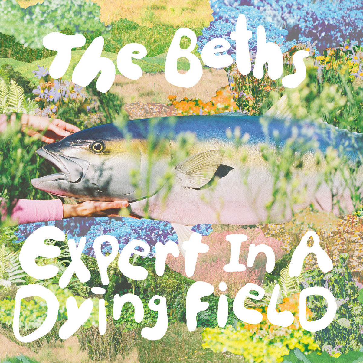 Beths, The: Expert In A Dying Field - Deluxe (Coloured Vinyl 2xLP)