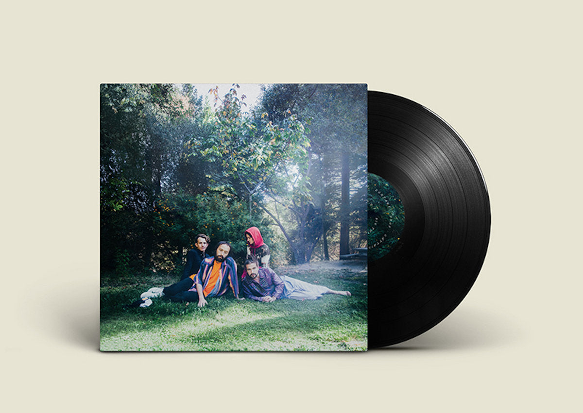 Big Thief: U.F.O.F (Vinyl LP)