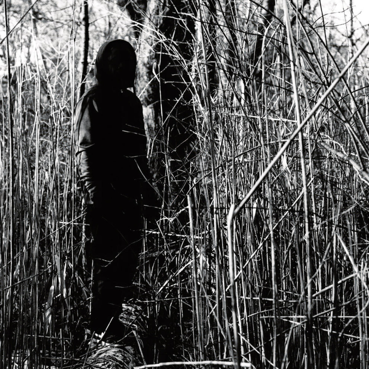 Woods, Billy: Today, I Wrote Nothing (CD)