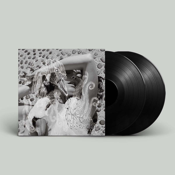 Björk: Vespertine (Vinyl 2xLP)