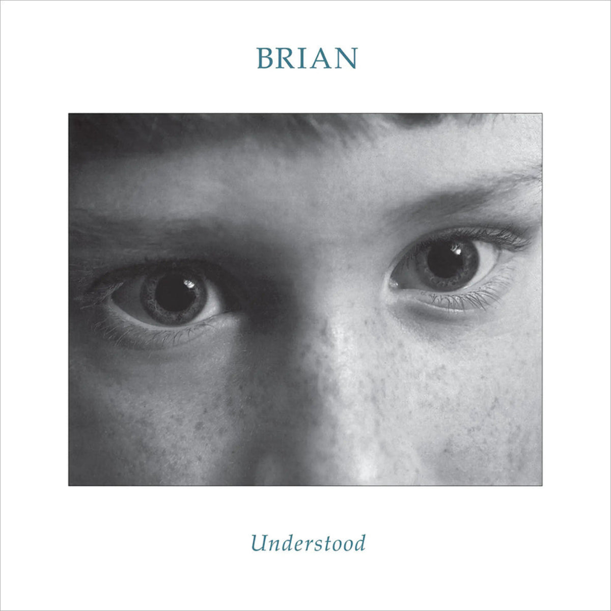 Brian: Understood (Vinyl LP)