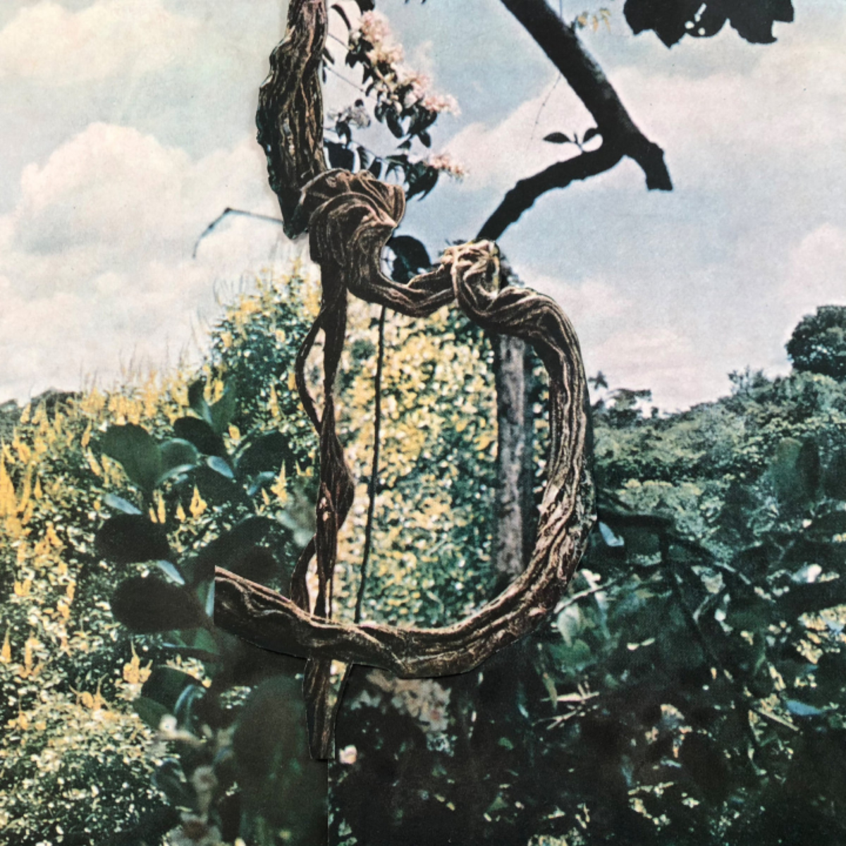 23/10/26 - Celer & Forest Management: Landmarks