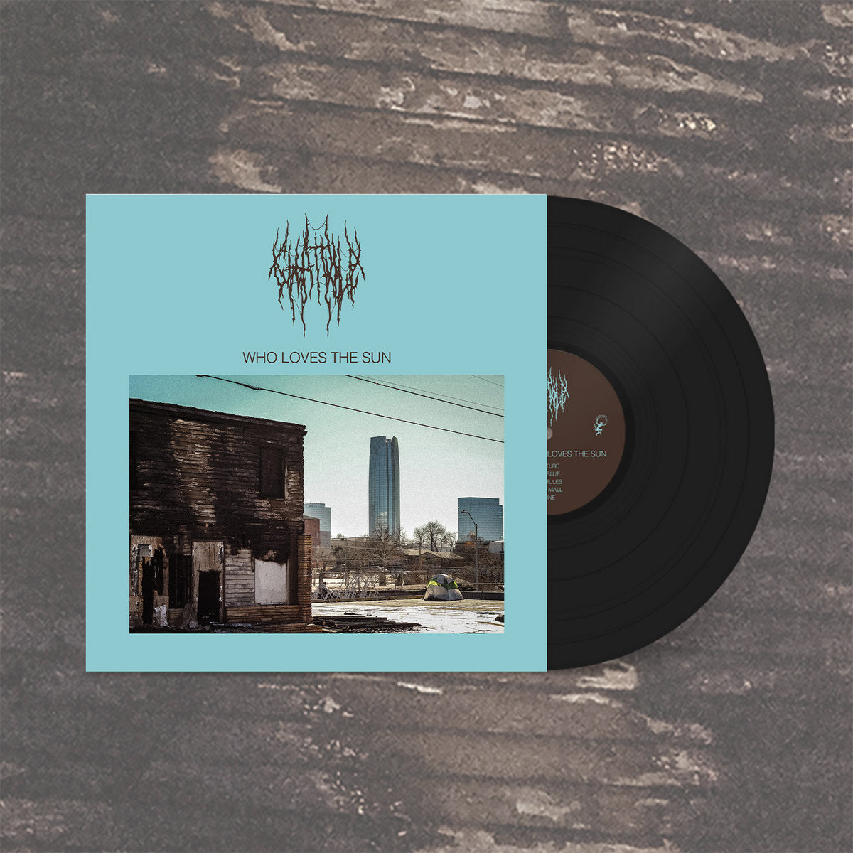 Pre-Order 04/09/26 - Chat Pile: Who Loves The Sun (Vinyl LP)
