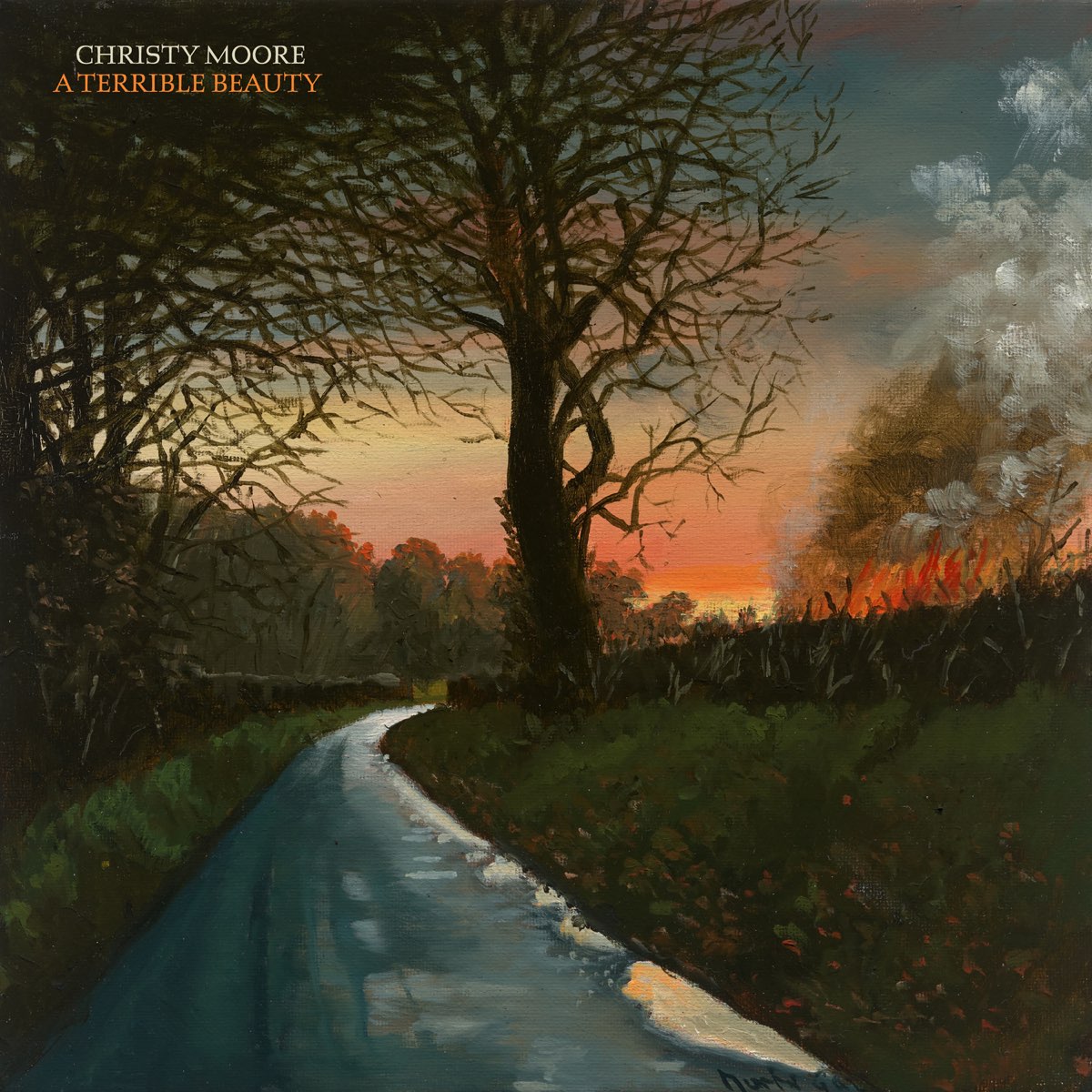 Moore, Christy: A Terrible Beauty (Vinyl LP)