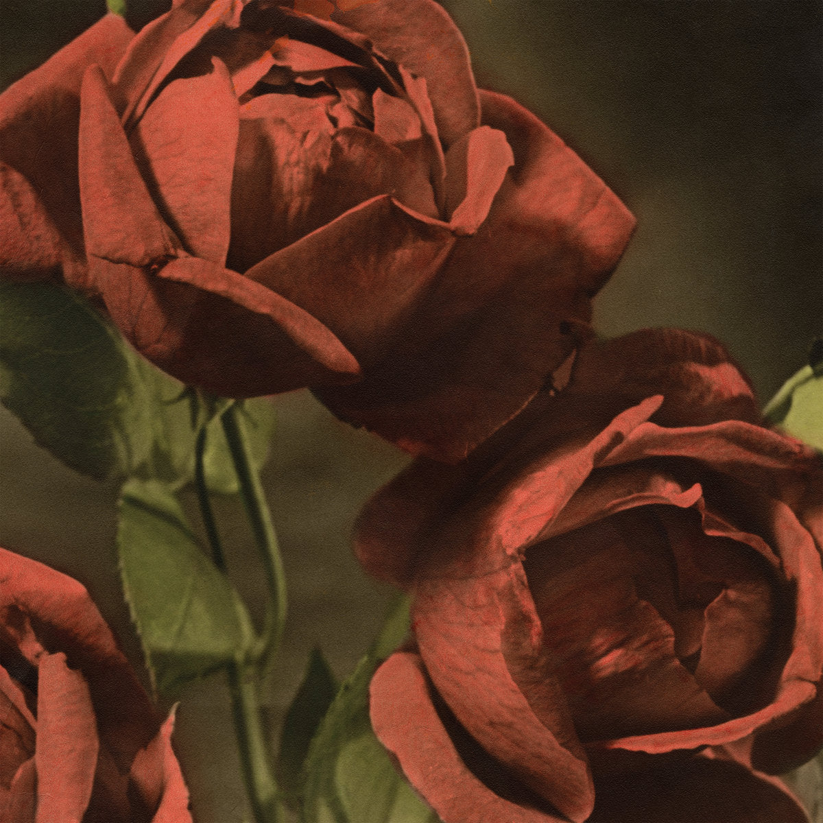 Pre-Order 01/05/26 - Cindy: Another Country (Vinyl LP)