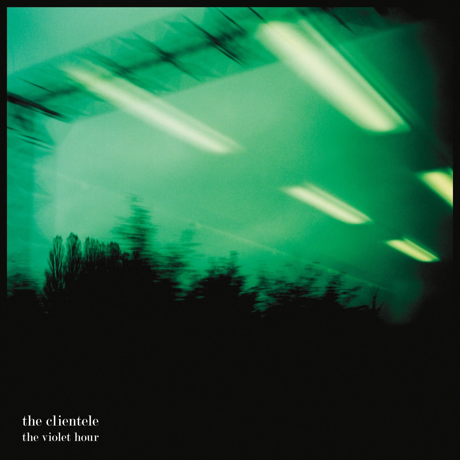 Clientele, The: The Violet Hour (Vinyl LP)