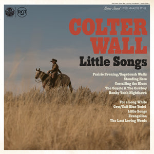 Wall, Colter: Little Songs (Coloured Vinyl LP)