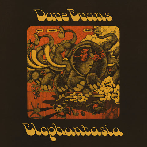 Evans, David: Elephantasia (Vinyl LP)