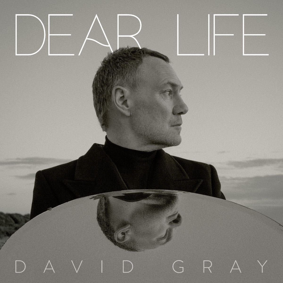 Gray, David: Dear Life (CD)