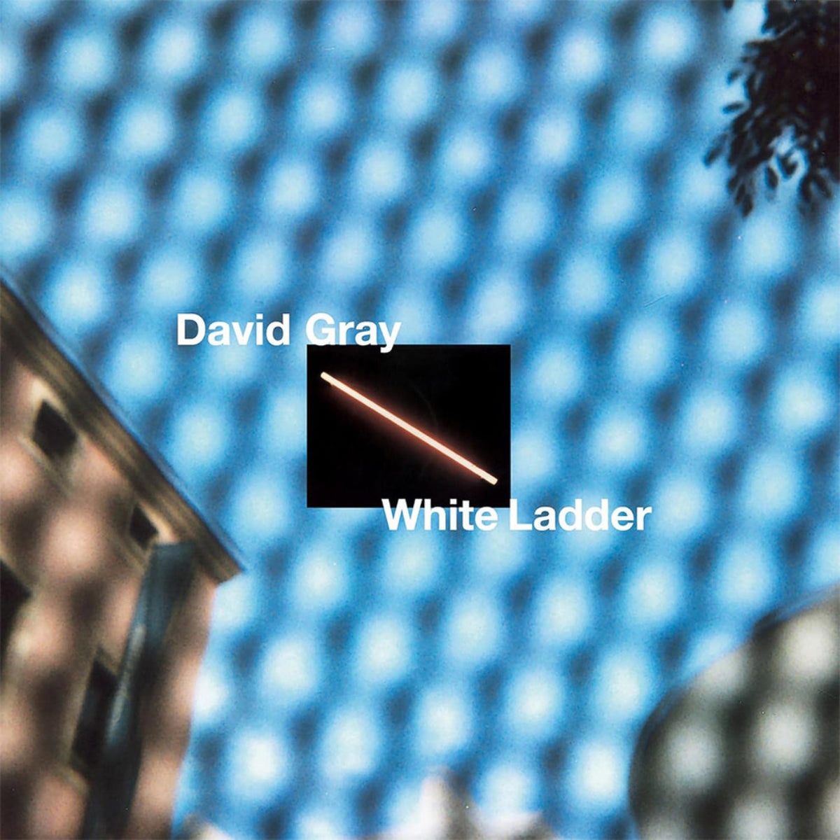 Gray, David: White Ladder (Vinyl 2xLP)