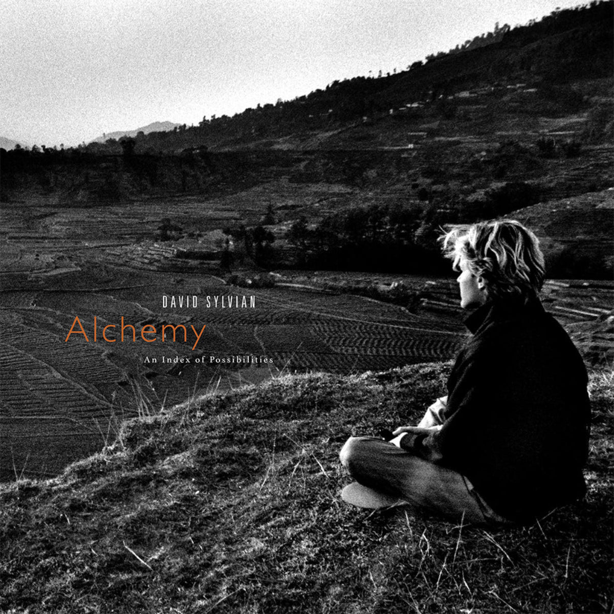 Sylvian, David: Alchemy - An Index Of Possibilities (Coloured Vinyl LP)