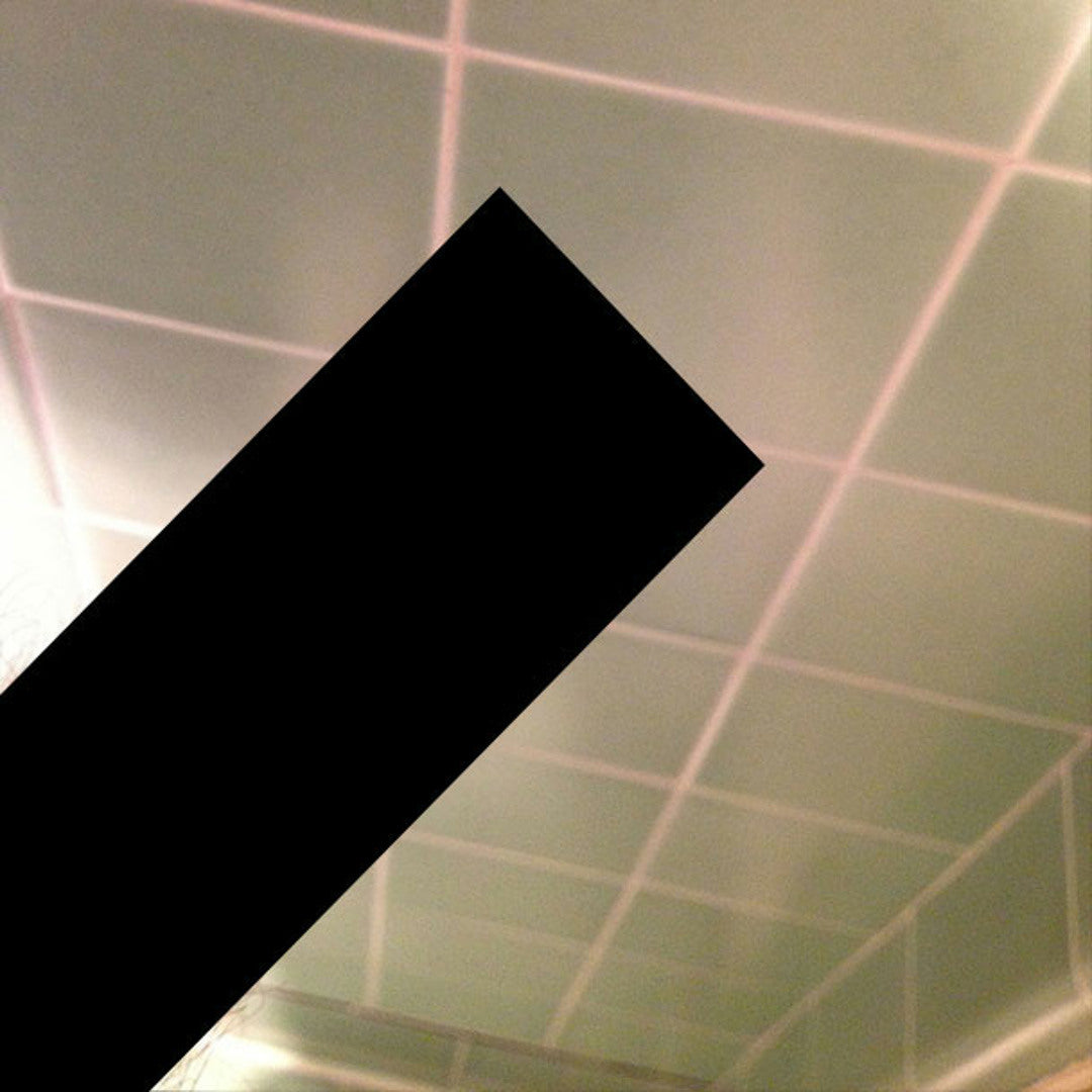 Death Grips: No Love Deep Web (Vinyl LP)