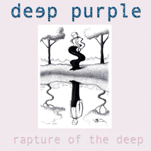 Deep Purple: Rapture Of The Deep (Used Vinyl 2xLP)