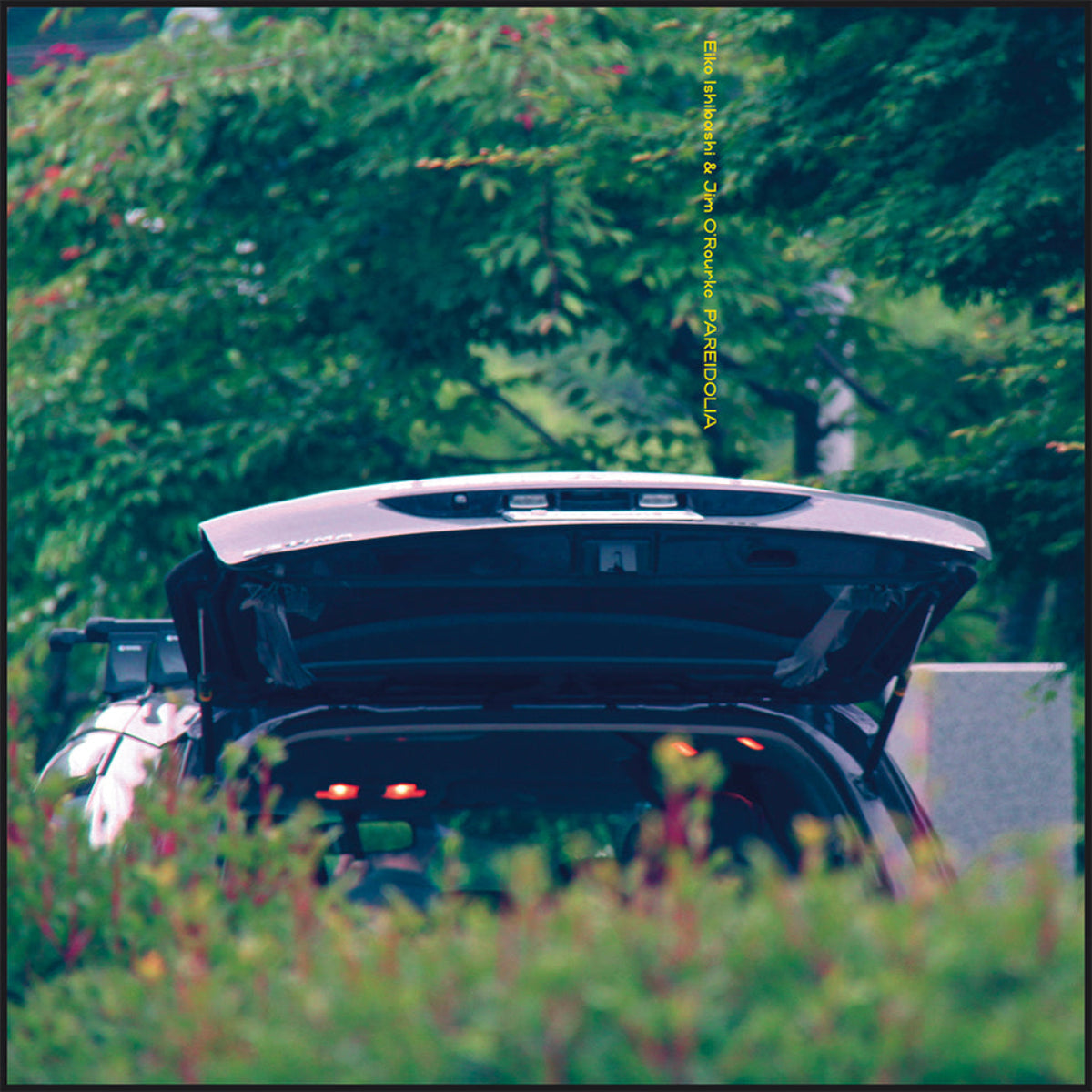 Ishibashi, Eiko & Jim O'Rourke: Pareidolia (Vinyl LP)