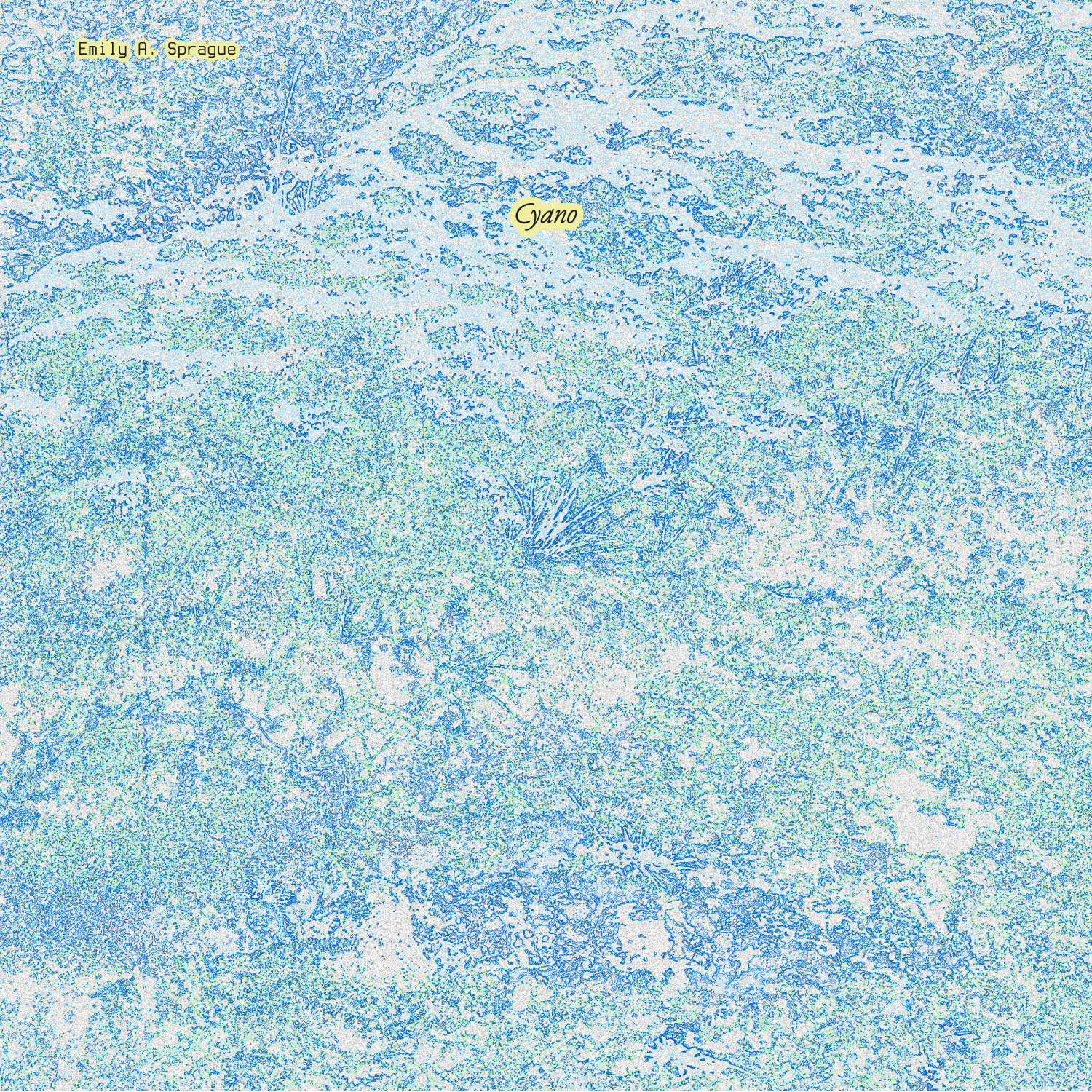 Pre-Order 02/10/26 - Sprague, Emily A.: Cyano (Vinyl LP)