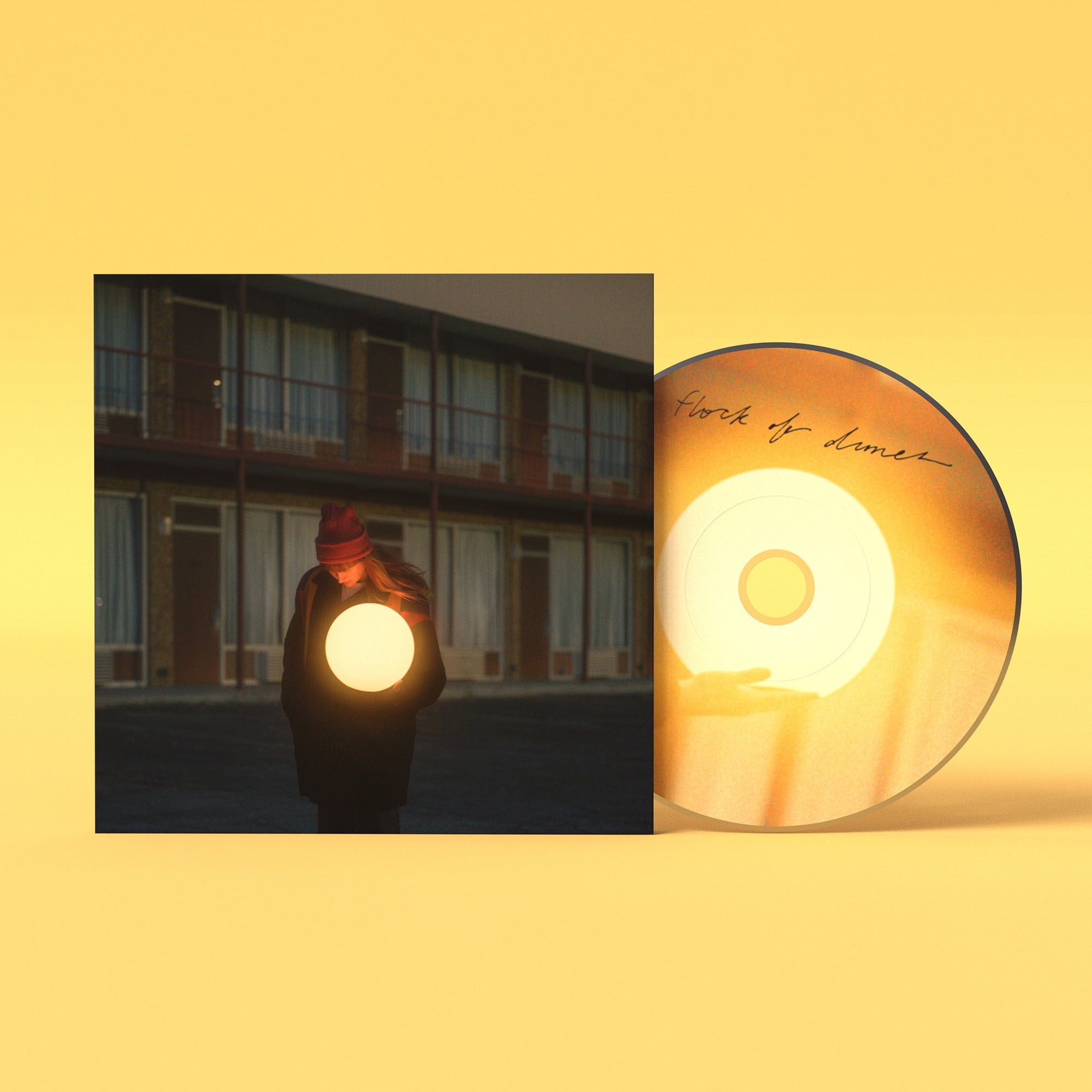 Flock Of Dimes: The Life You Save (CD)