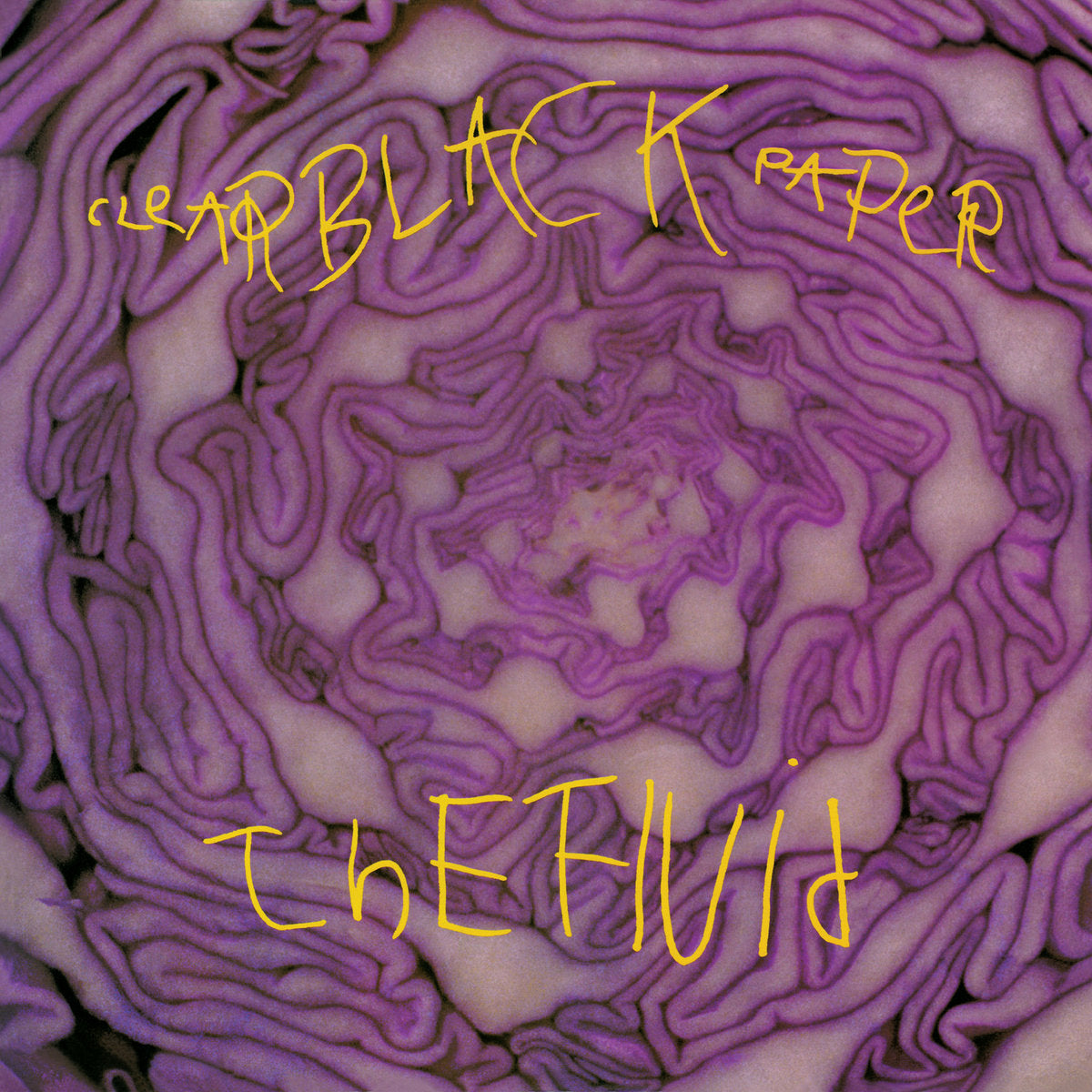 Fluid, The: Clear Black Paper (Coloured Vinyl LP)