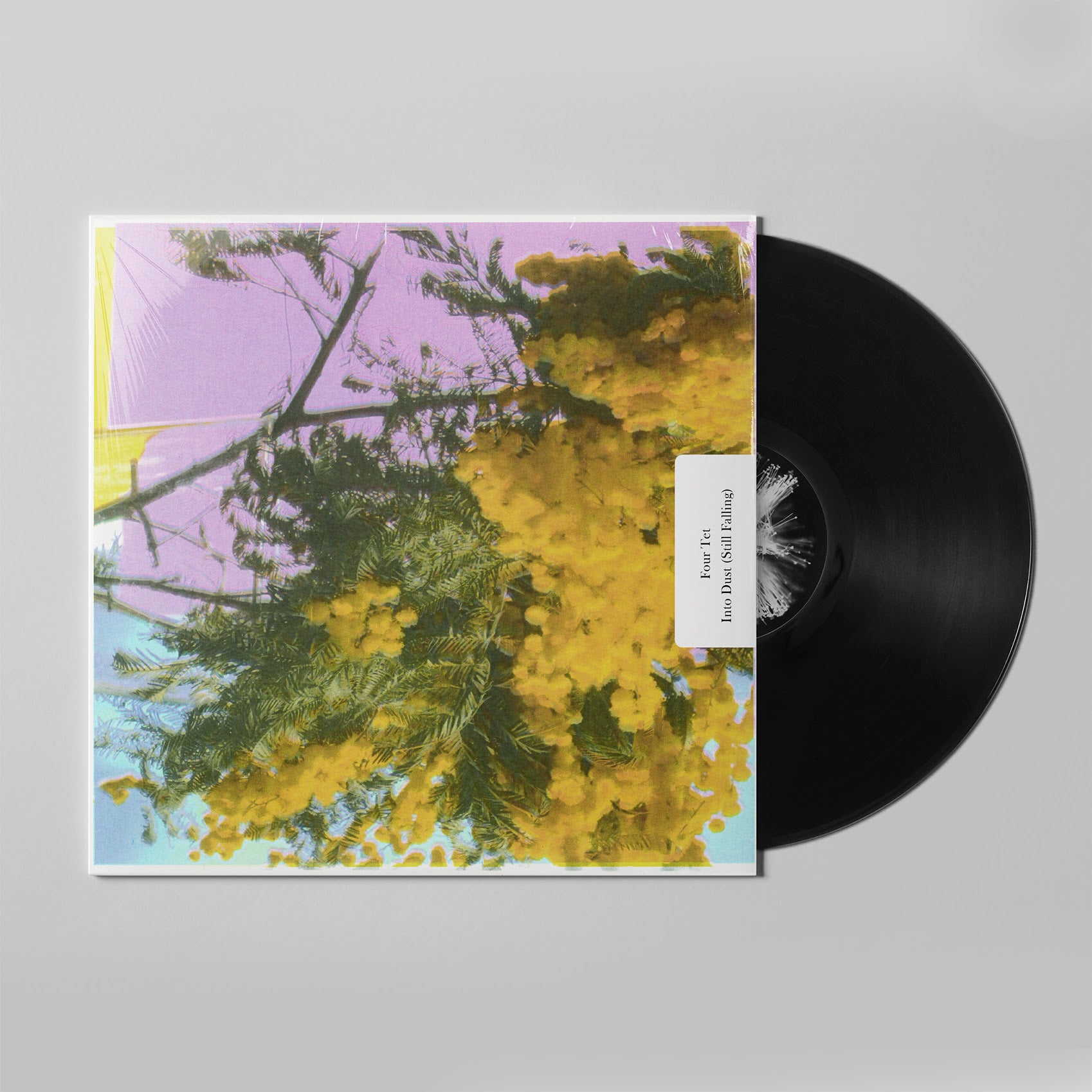 Four Tet: Into Dust (Still Falling) (Vinyl 12")