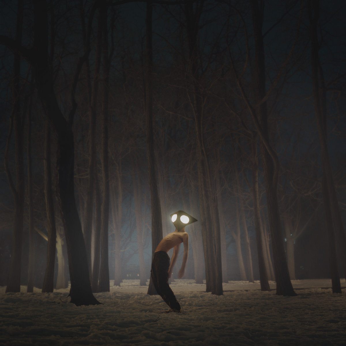 Geese: Projector (CD)