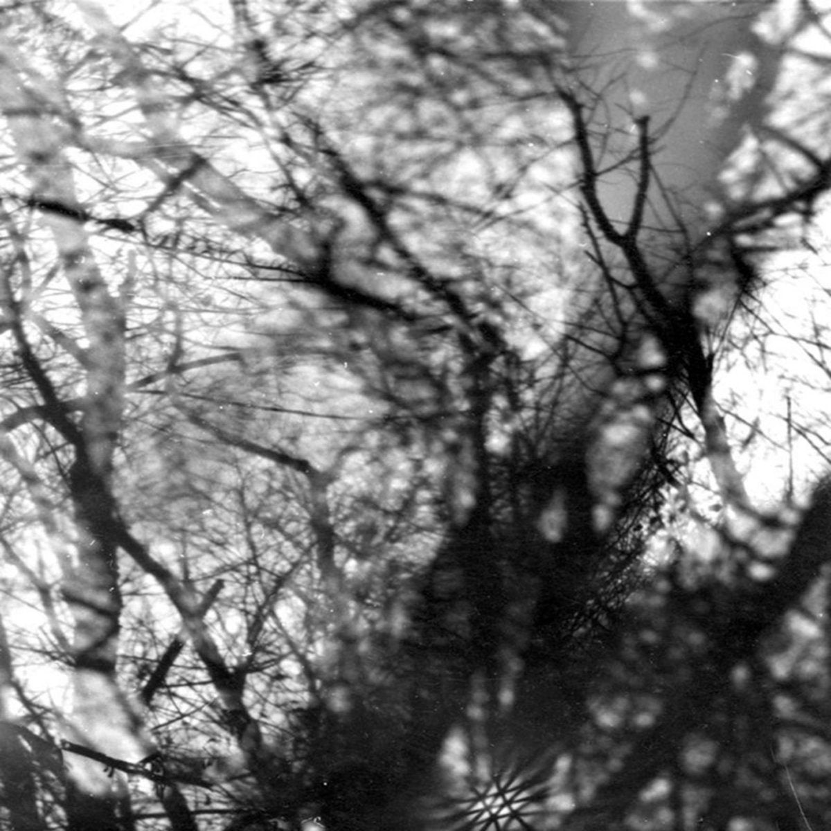 Grouper: Way Their Crept - 20th Anniversary (CD)