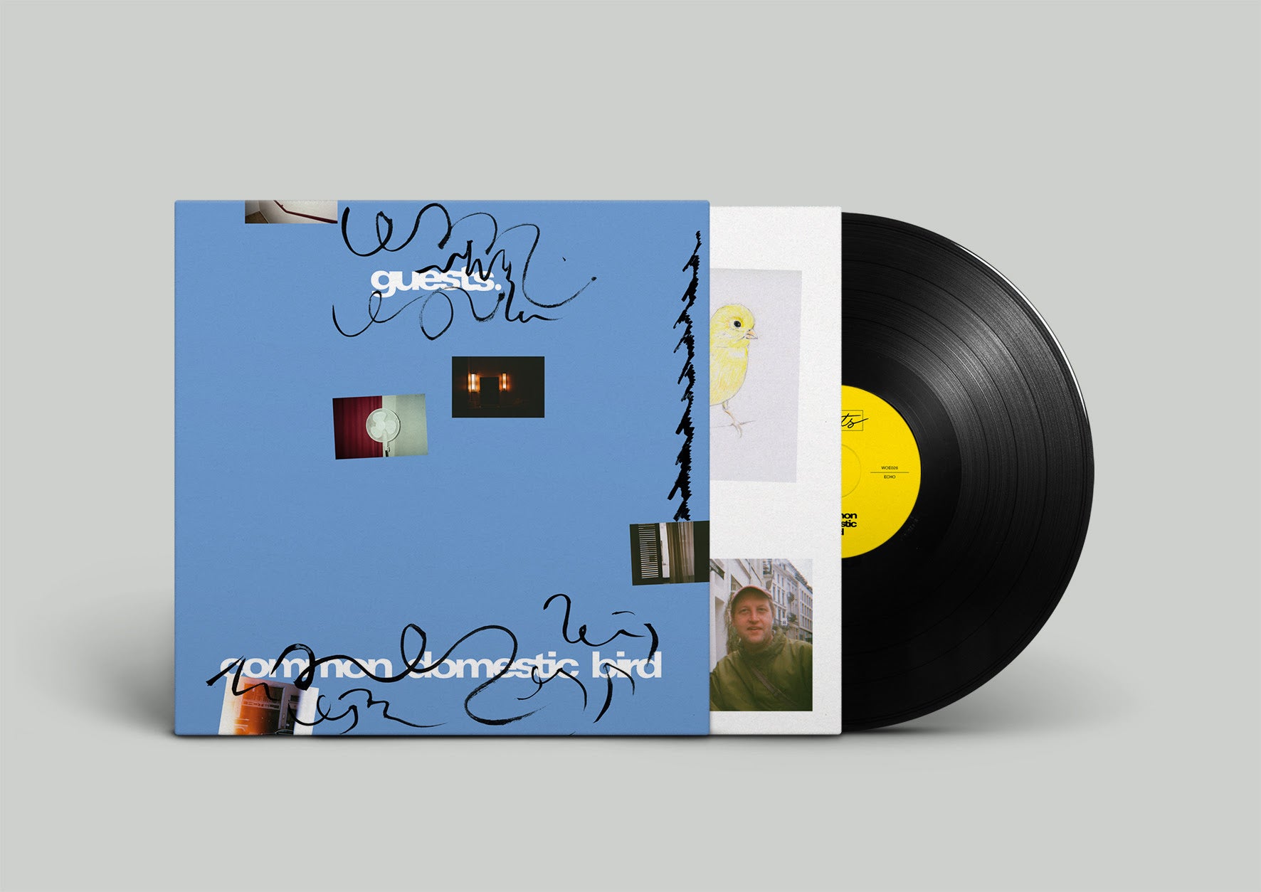 Pre-Order 10/04/26 - Guests: Common Domestic Bird (Vinyl LP)