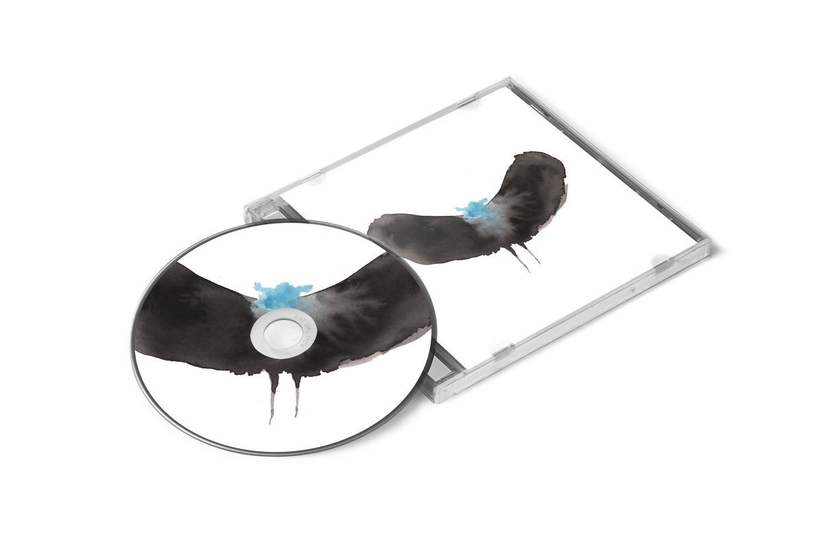 HAYWARDxDÄLEK: HAYWARDxDÄLEK (CD)