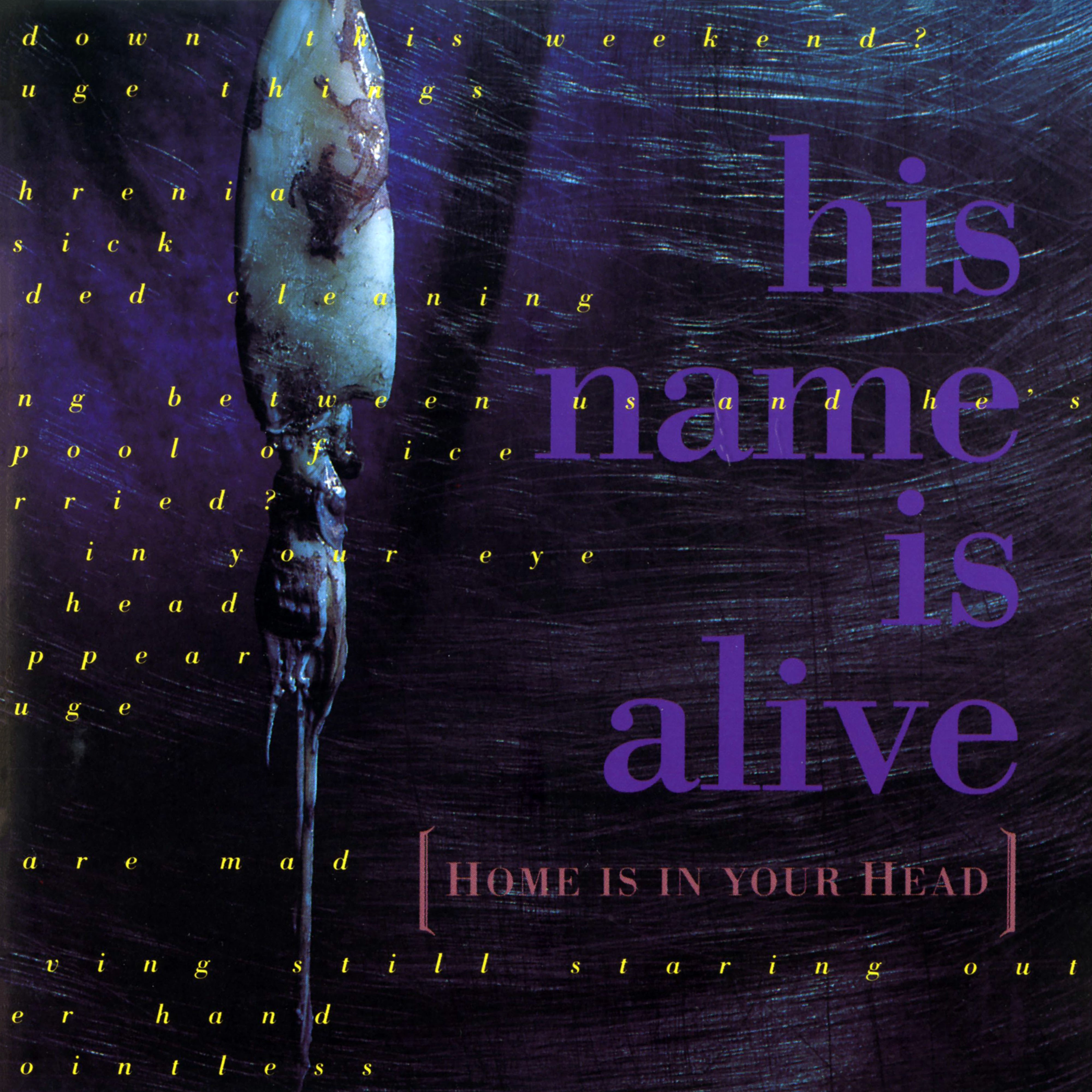 Pre-Order 08/05/26 - His Name Is Alive: Home Is In Your Head (Vinyl LP)