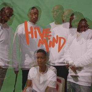 Internet, The: Hive Mind (Vinyl 2xLP)