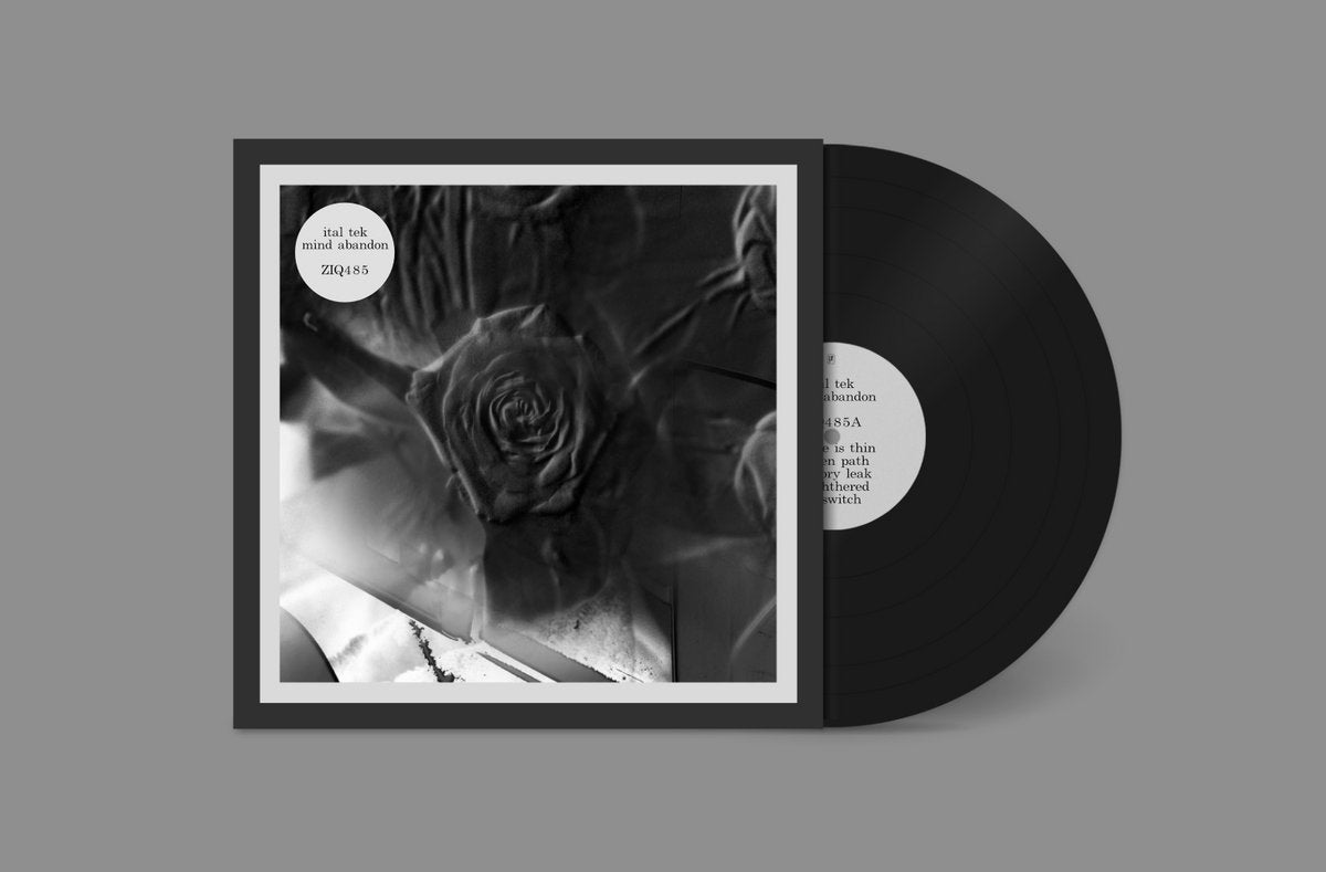 Ital Tek: Mind Abandon (Vinyl LP)