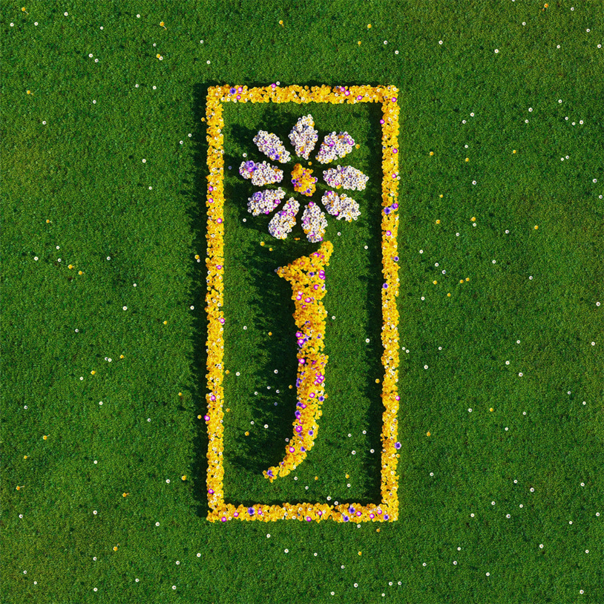 James: Nothing But Love - The Definitive Best Of (Vinyl 2xLP)