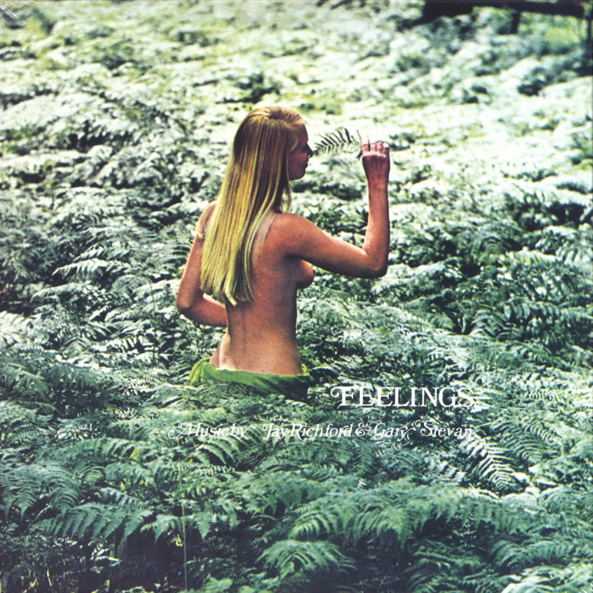 Richford, Jay & Gary Stevan: Feelings (Vinyl LP)