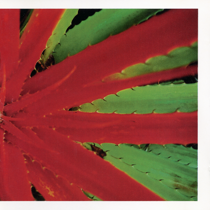 Jejune: This Afternoons Malady (Vinyl 2xLP)