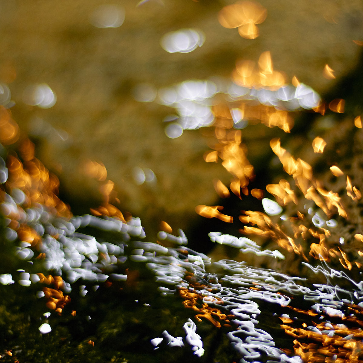 Reidy, Jules: Instants & Their Echoes (Coloured Vinyl LP)