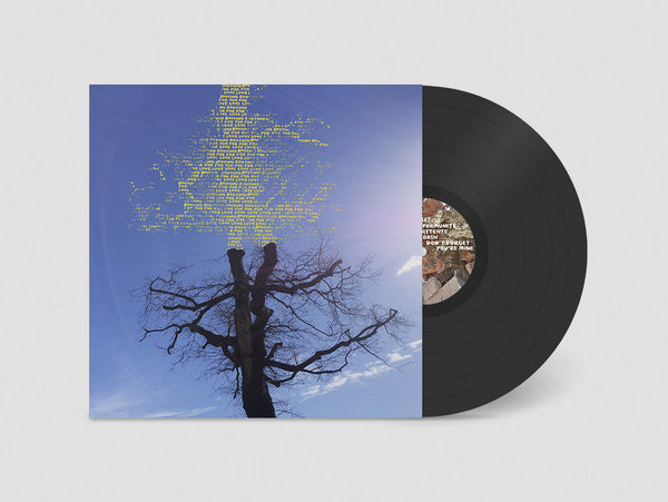 Sadier, Laetitia: Rooting For Love (Vinyl LP)
