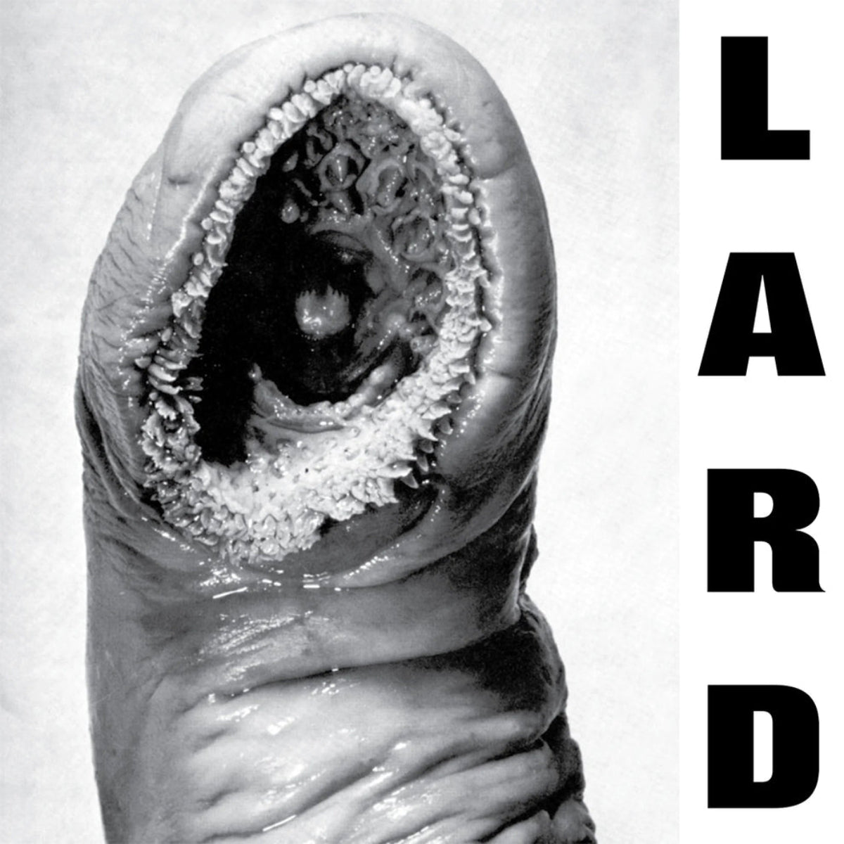 Lard: Power Of Lard (Coloured Vinyl EP)