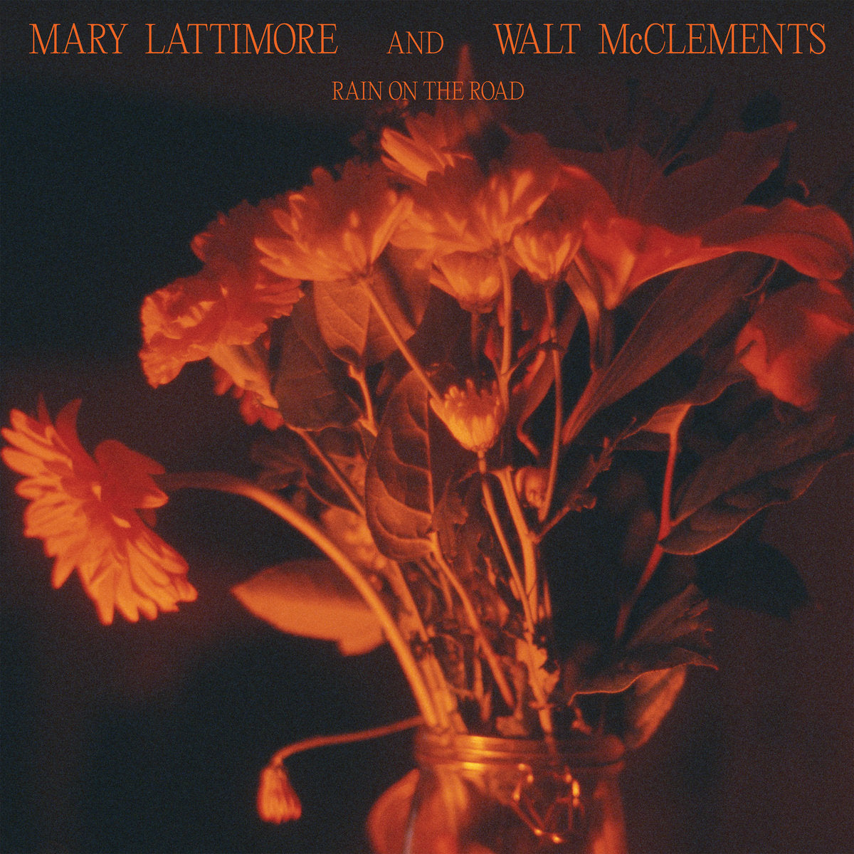 Lattimore, Mary & Walt McClements: Rain On The Road (Vinyl LP)