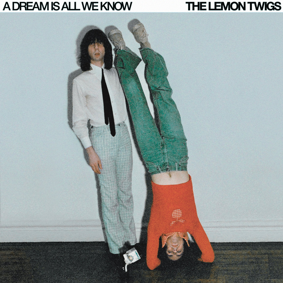 Lemon Twigs, The: A Dream Is All We Know (CD)