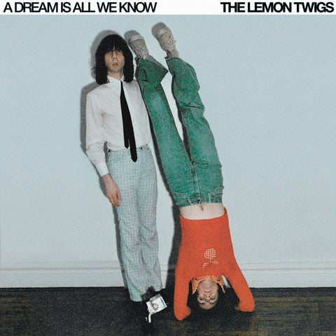 Lemon Twigs, The: A Dream Is All We Know (Coloured Vinyl LP)
