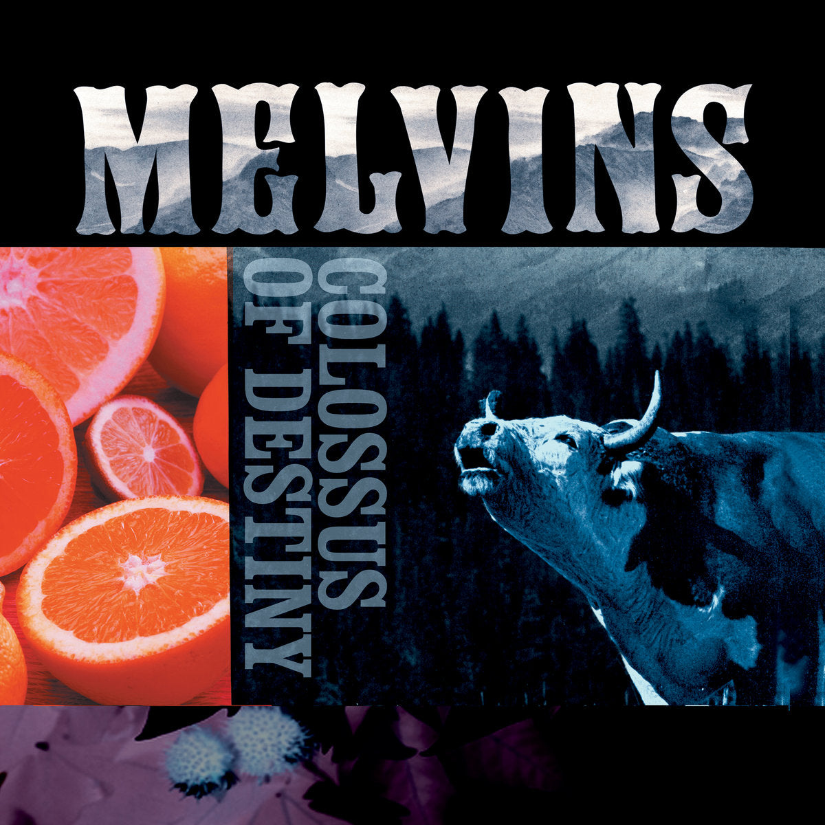 Melvins: Colossus Of Destiny (Vinyl 2xLP)