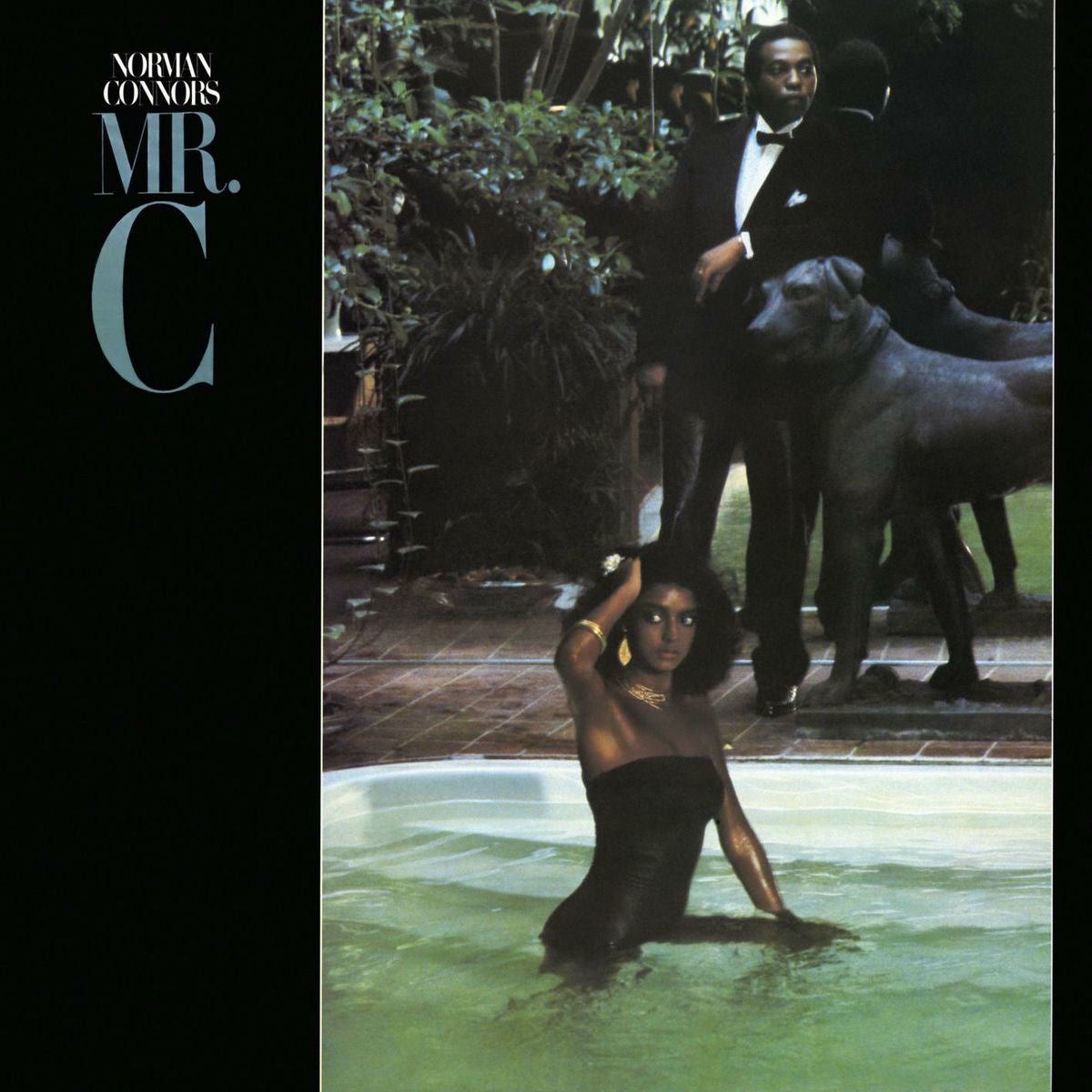 Connors, Norman: Mr. C (Vinyl LP)