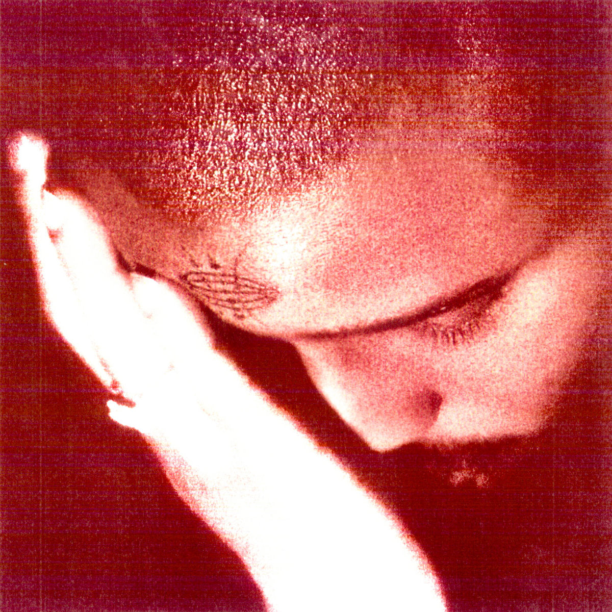 Nourished By Time: The Passionate Ones (CD)