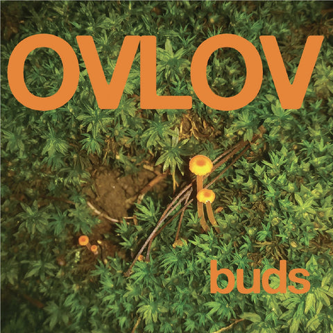 Ovlov: Buds (Coloured Vinyl LP)